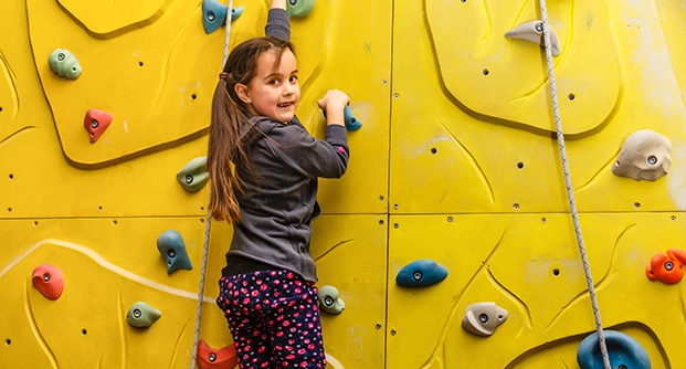 Wall Climbing